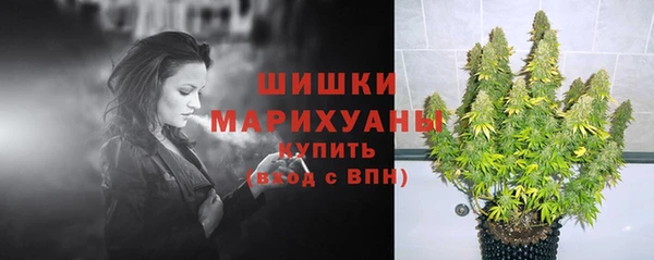 мяу мяу мука Аркадак