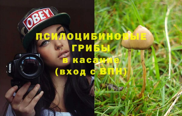 мяу мяу мука Аркадак