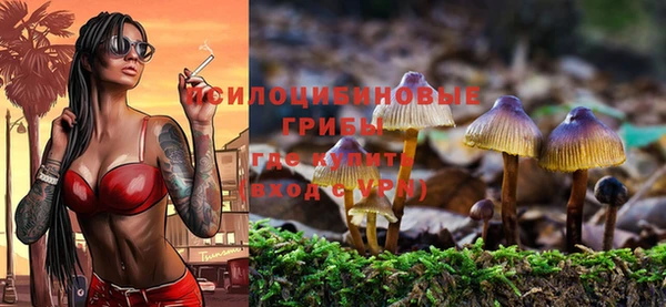 мяу мяу мука Аркадак